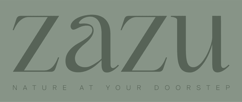 Showroom Session Cover Image