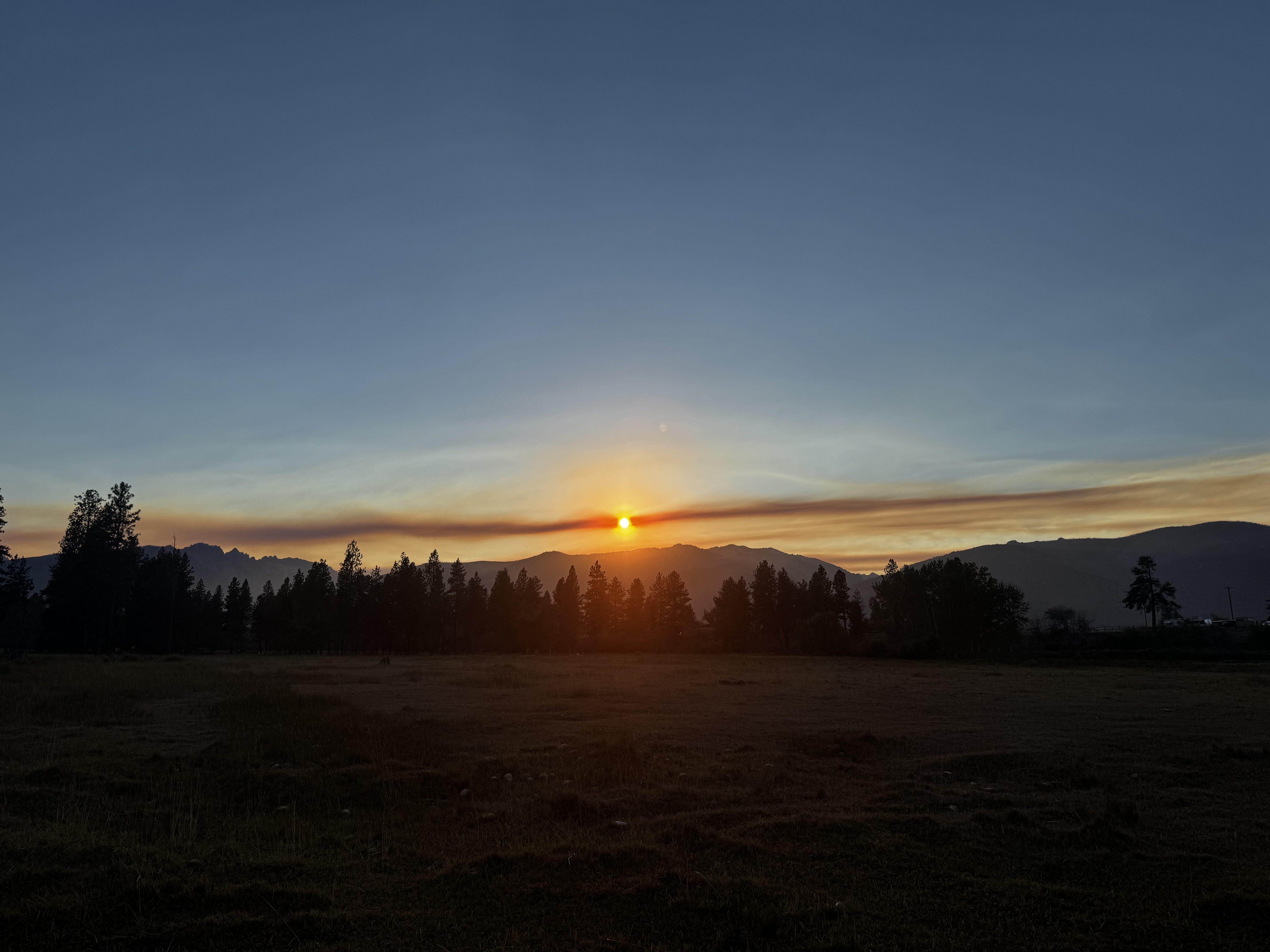 Tour McVey Cover Image